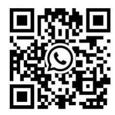 news-236-236 news-236-236